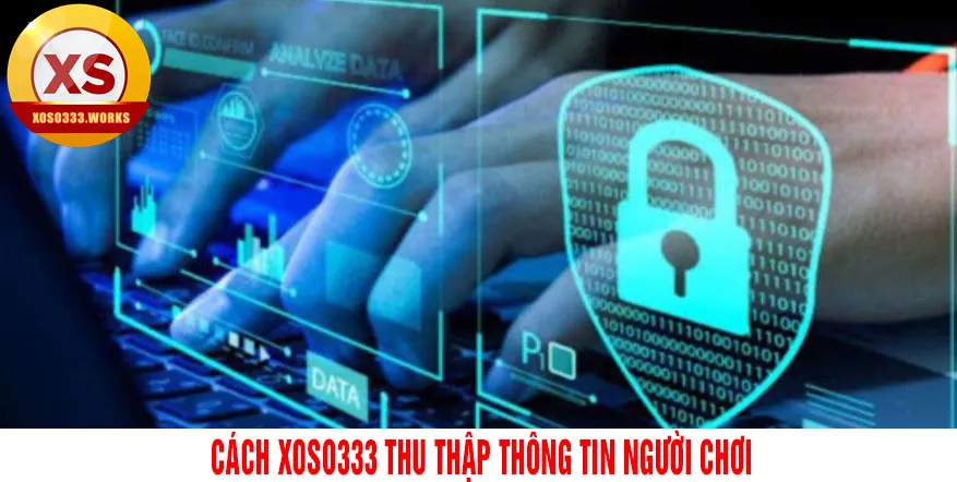 Cách xoso333 thu thập thông tin người chơi