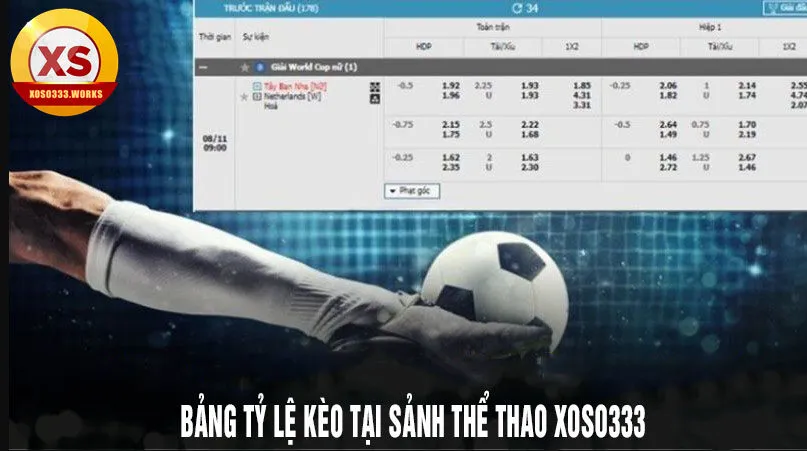 Bảng tỷ lệ kèo thể thao xoso333
